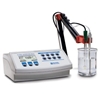 HI 3222 pH Meter : Hanna Instruments pH / ORP / ISE Cal Check Bench Meter, 2 Input Channels + 5 custom buffers