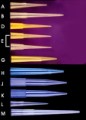 Image Not Available